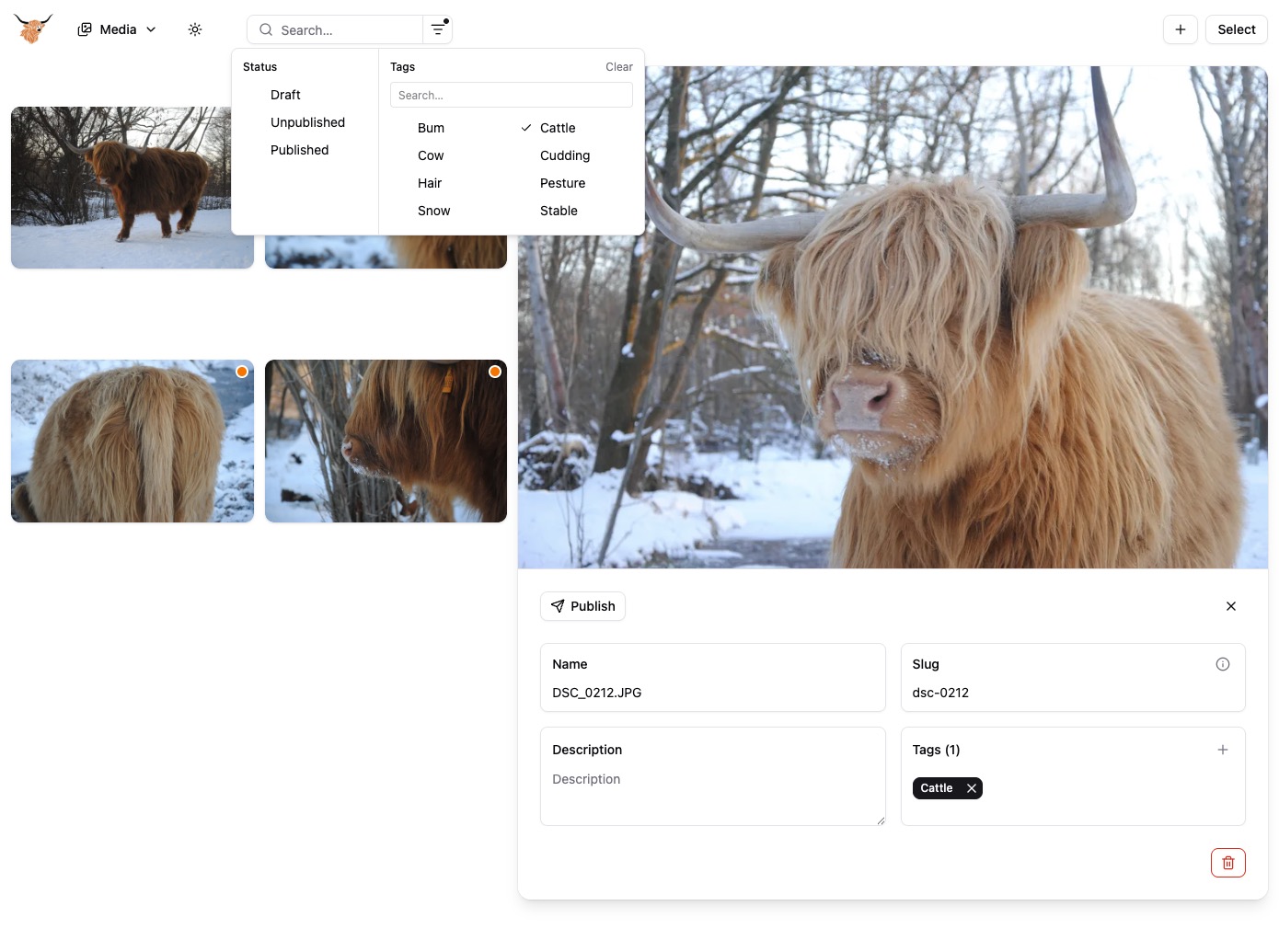 Highcoo publish dialog showing name, slug, and tag fields